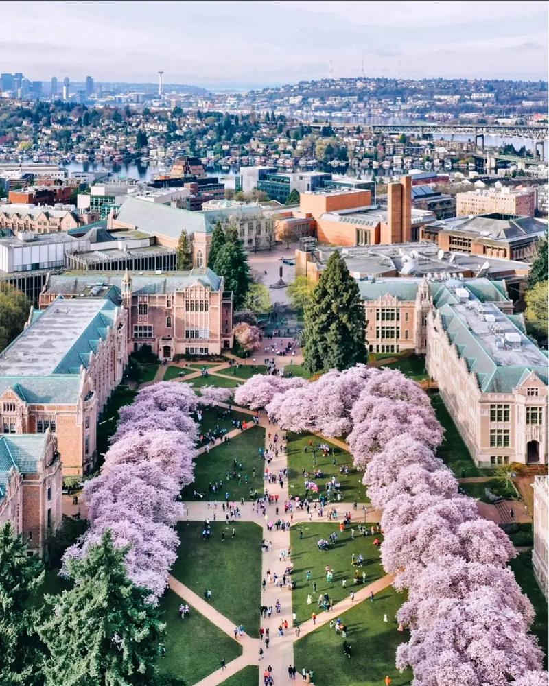 马萨诸塞大学安姆斯特分校